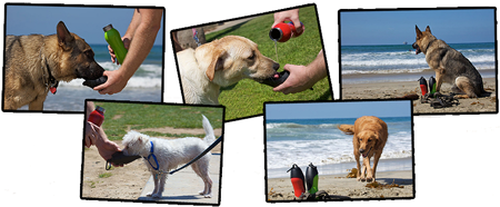 H2O4K9 Water Bottle